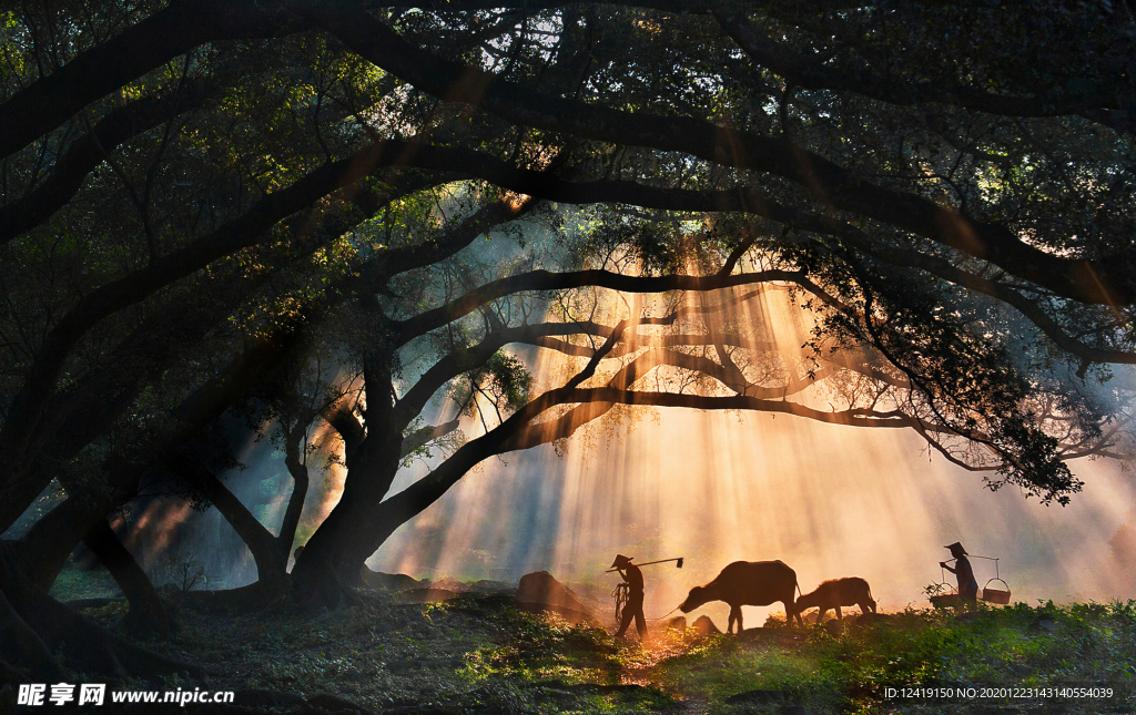霞浦风景 霞浦 风景 背景 旅