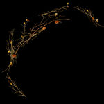 婚礼效果图素材枯枝