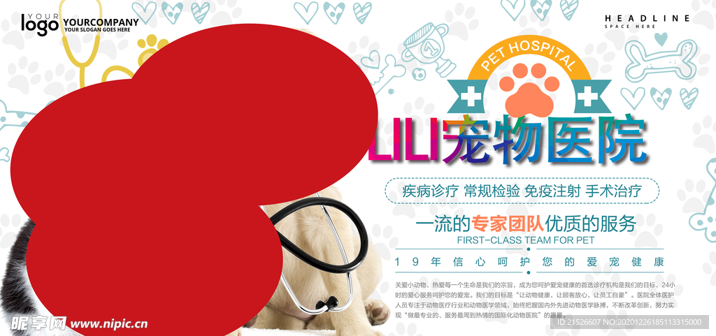 宠物医院海报