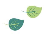 叶子 矢量
