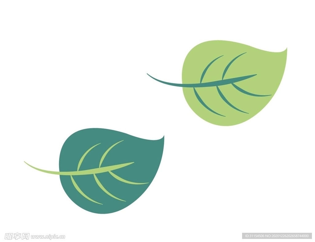 叶子 矢量