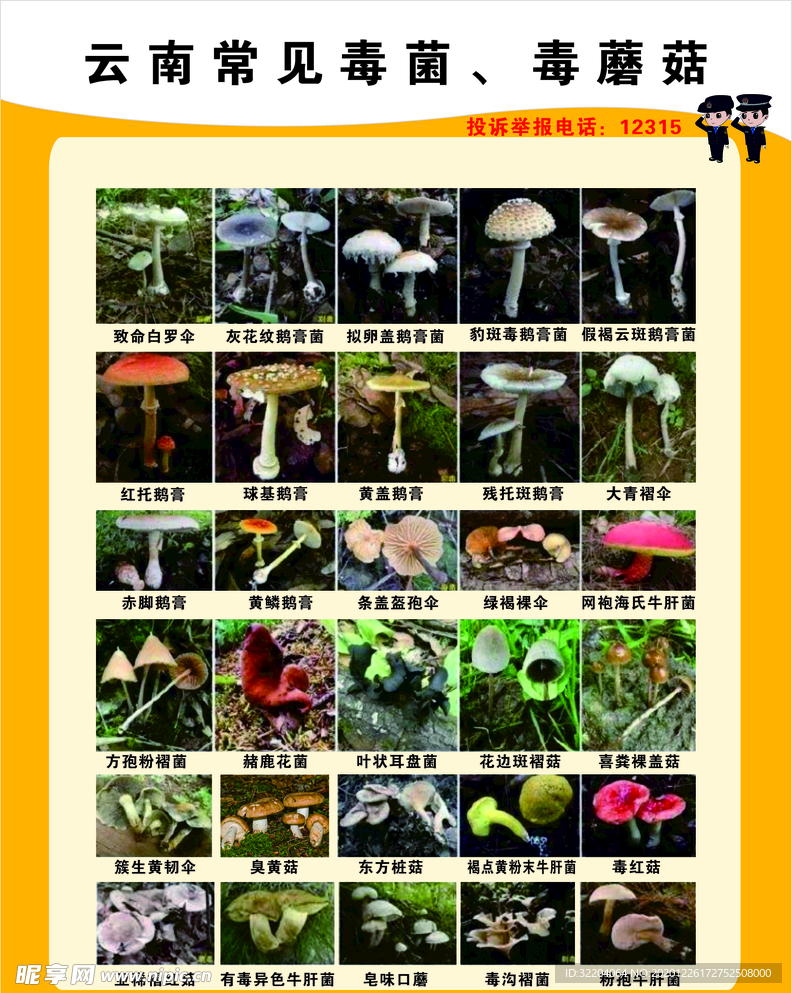 云南毒蘑菇