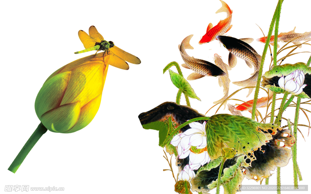 水墨墨迹鲤鱼锦鲤