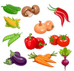 矢量蔬菜