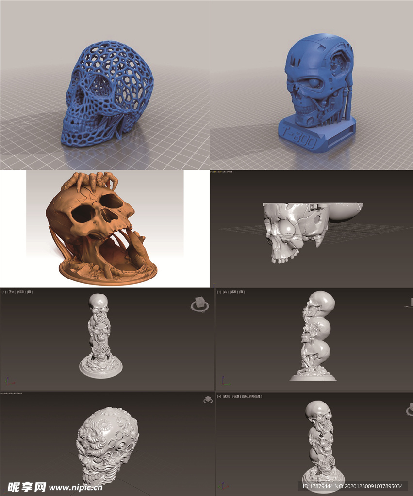 精品3D骷髅头骨