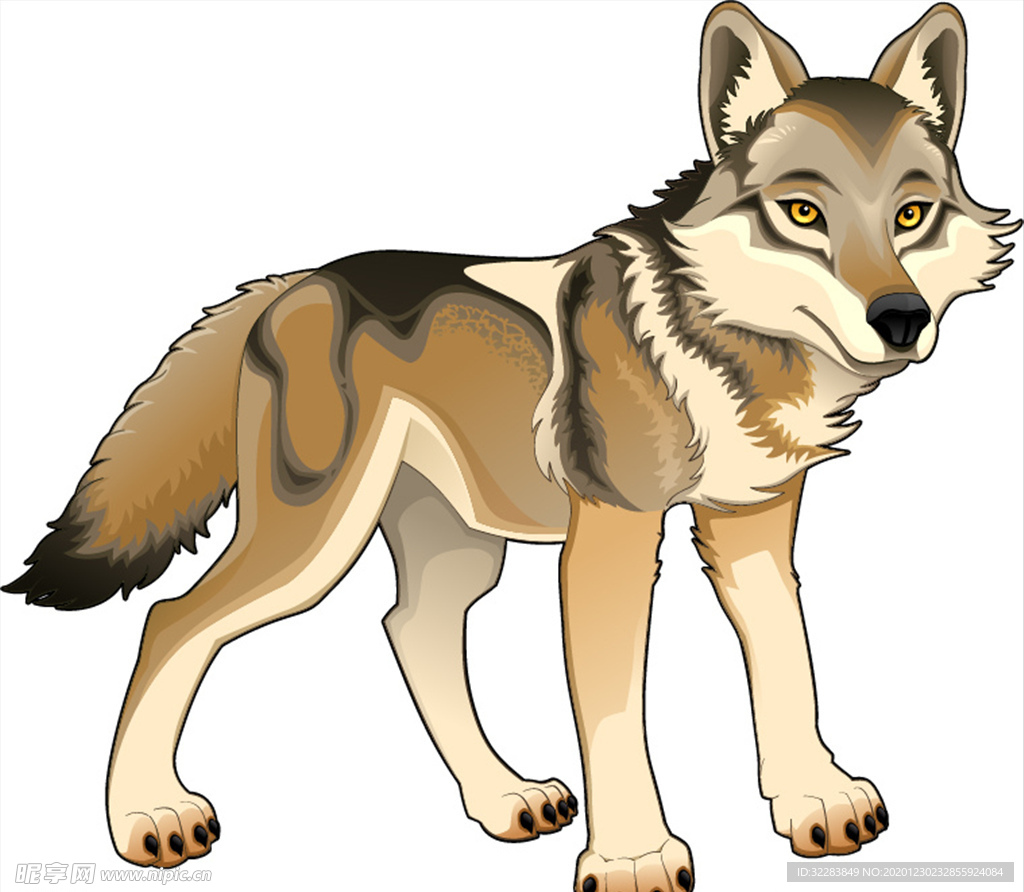 卡通狼