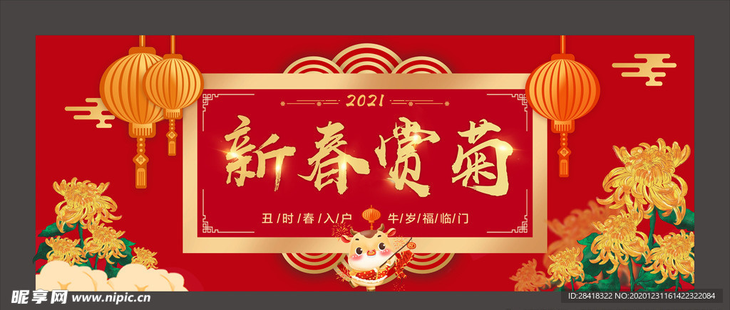 2021 新春 春节 赏菊