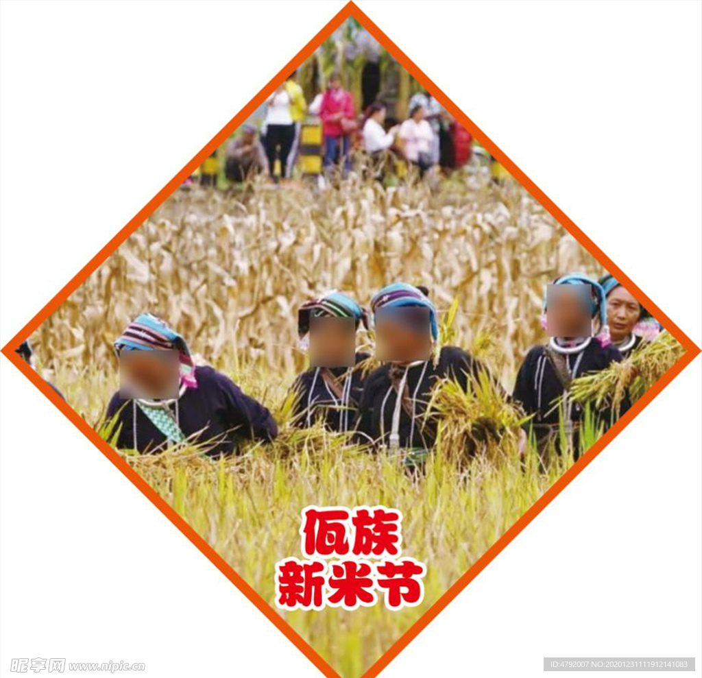 民族节日 佤族 新米节