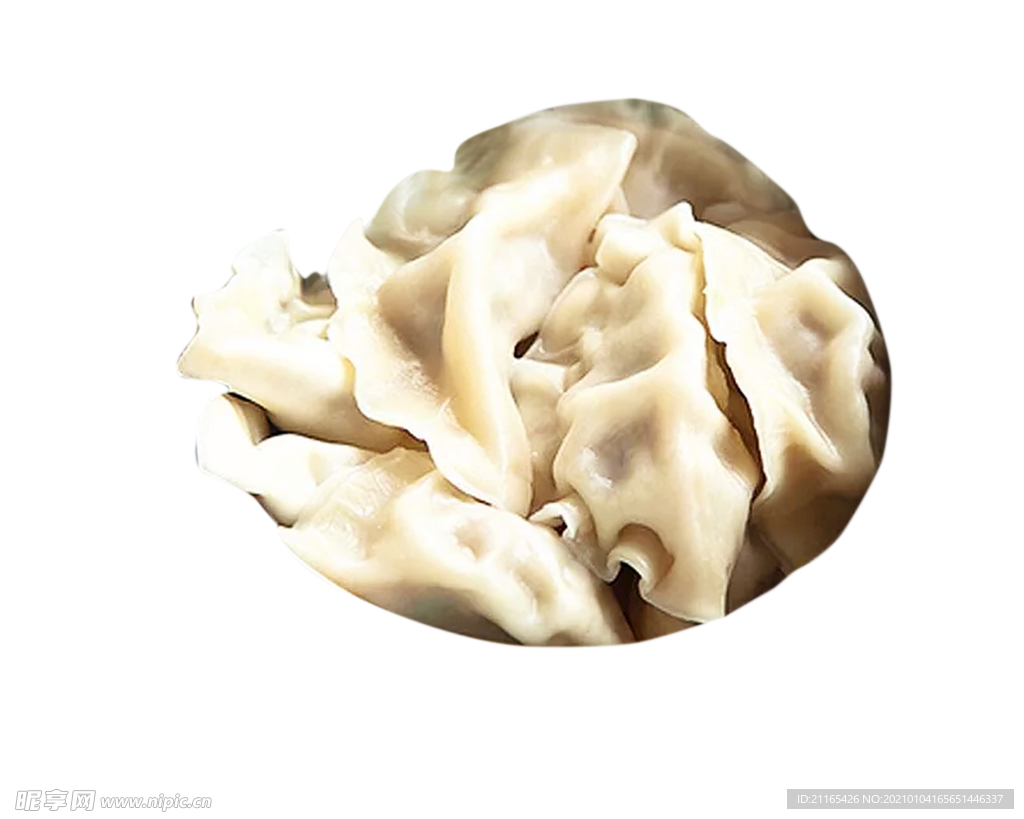 冬至 饺子 新年 冬天 北方