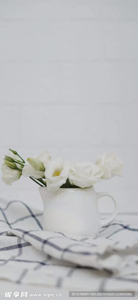 栀子花植物图片