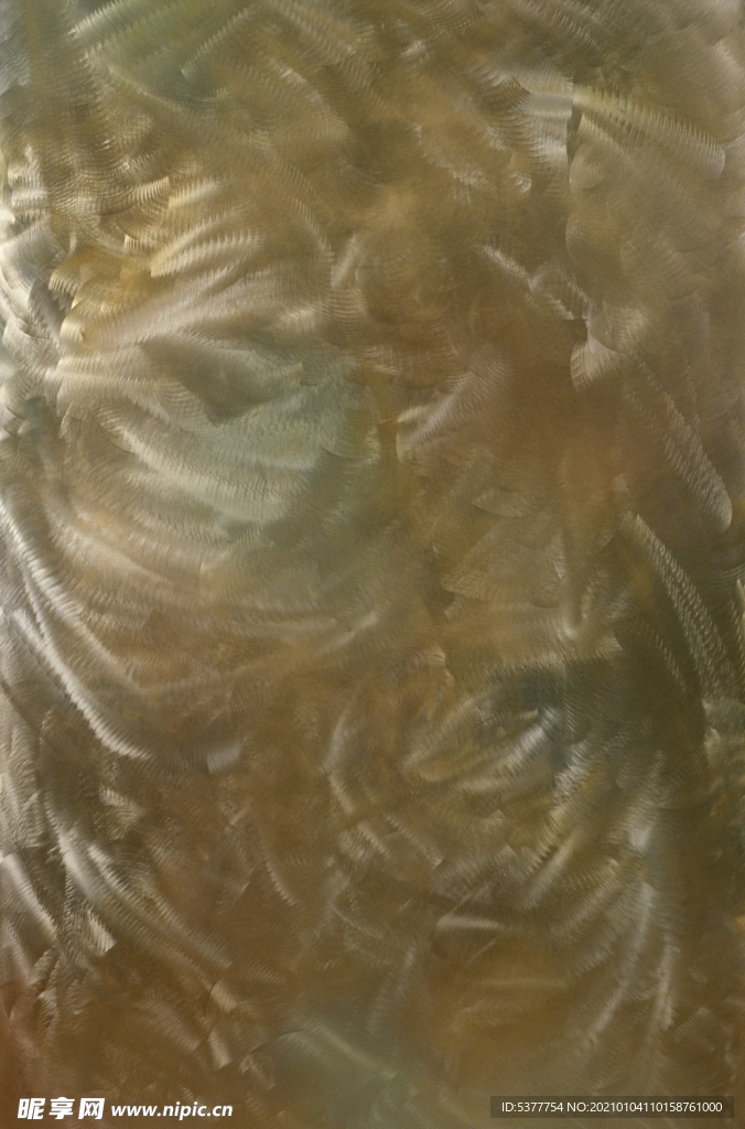 彩色底纹 艺术抽象 装饰画