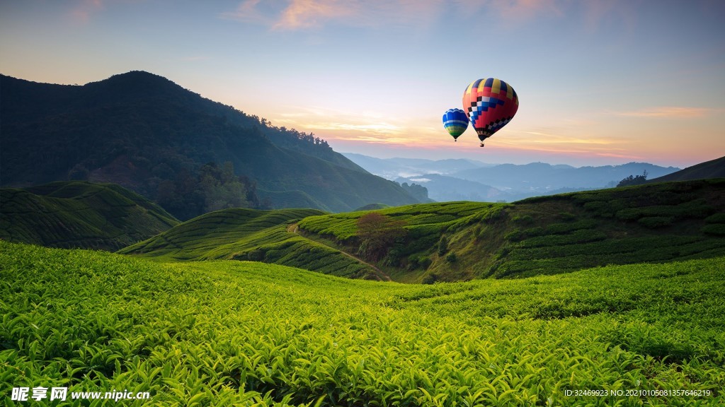 win10 草原气球壁纸