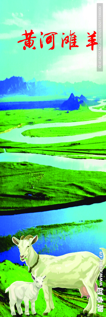 黄河滩羊