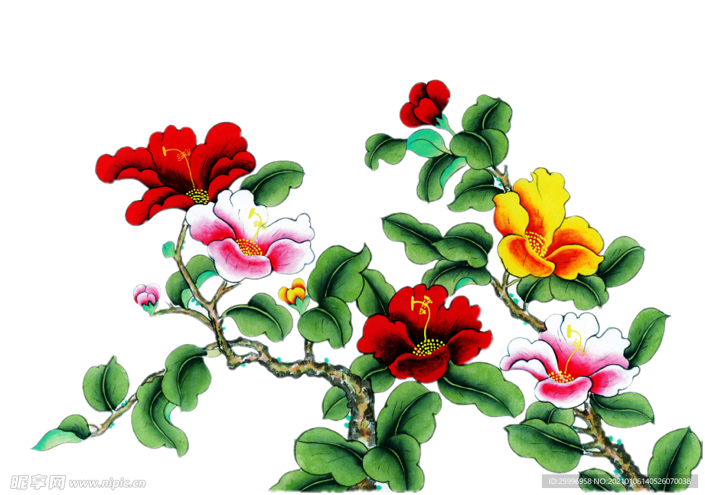 精美工笔画 牡丹