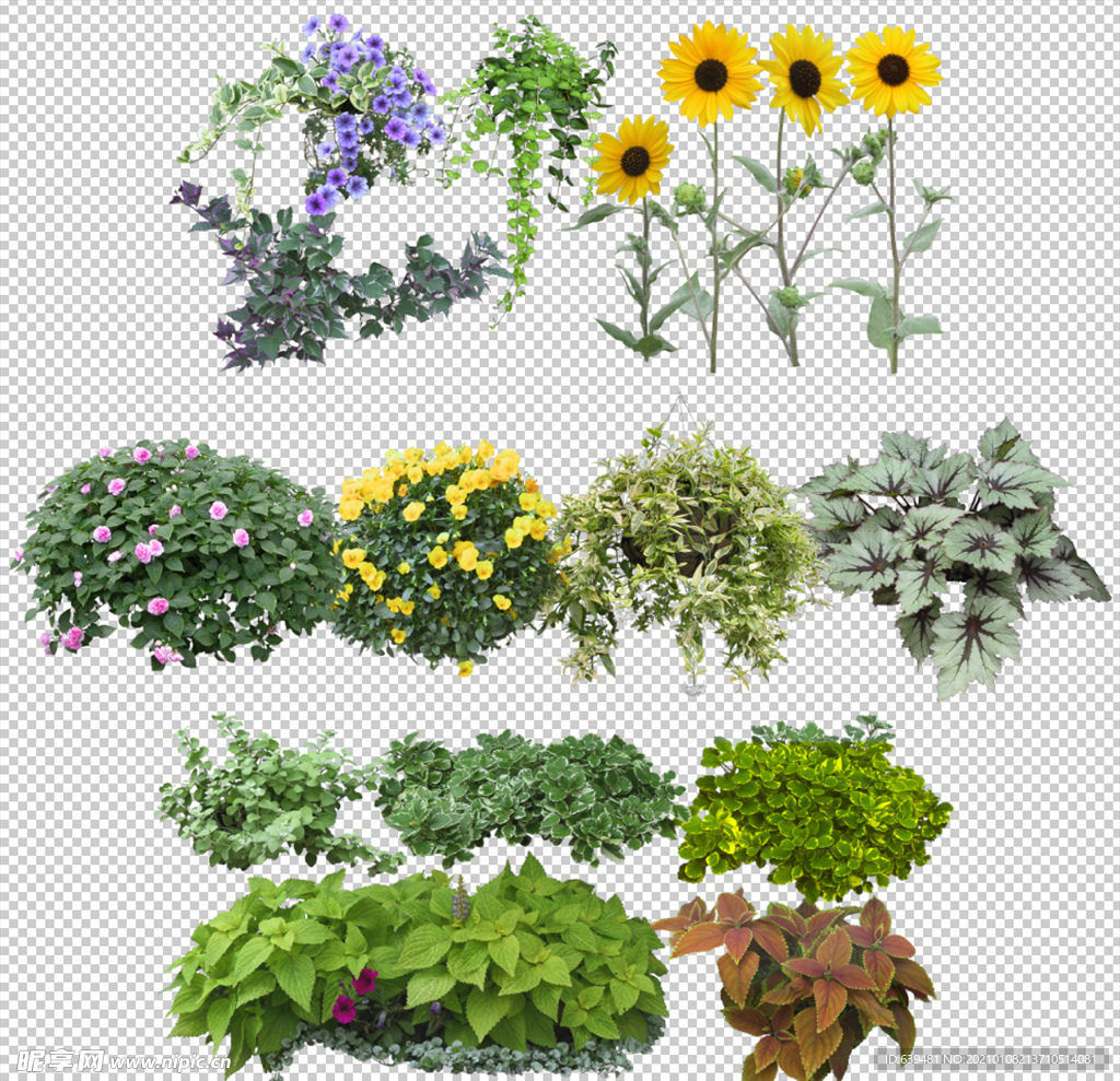 抠图去底花卉绿植盆景