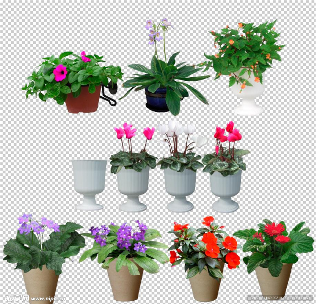 鲜花盆景盆栽绿植