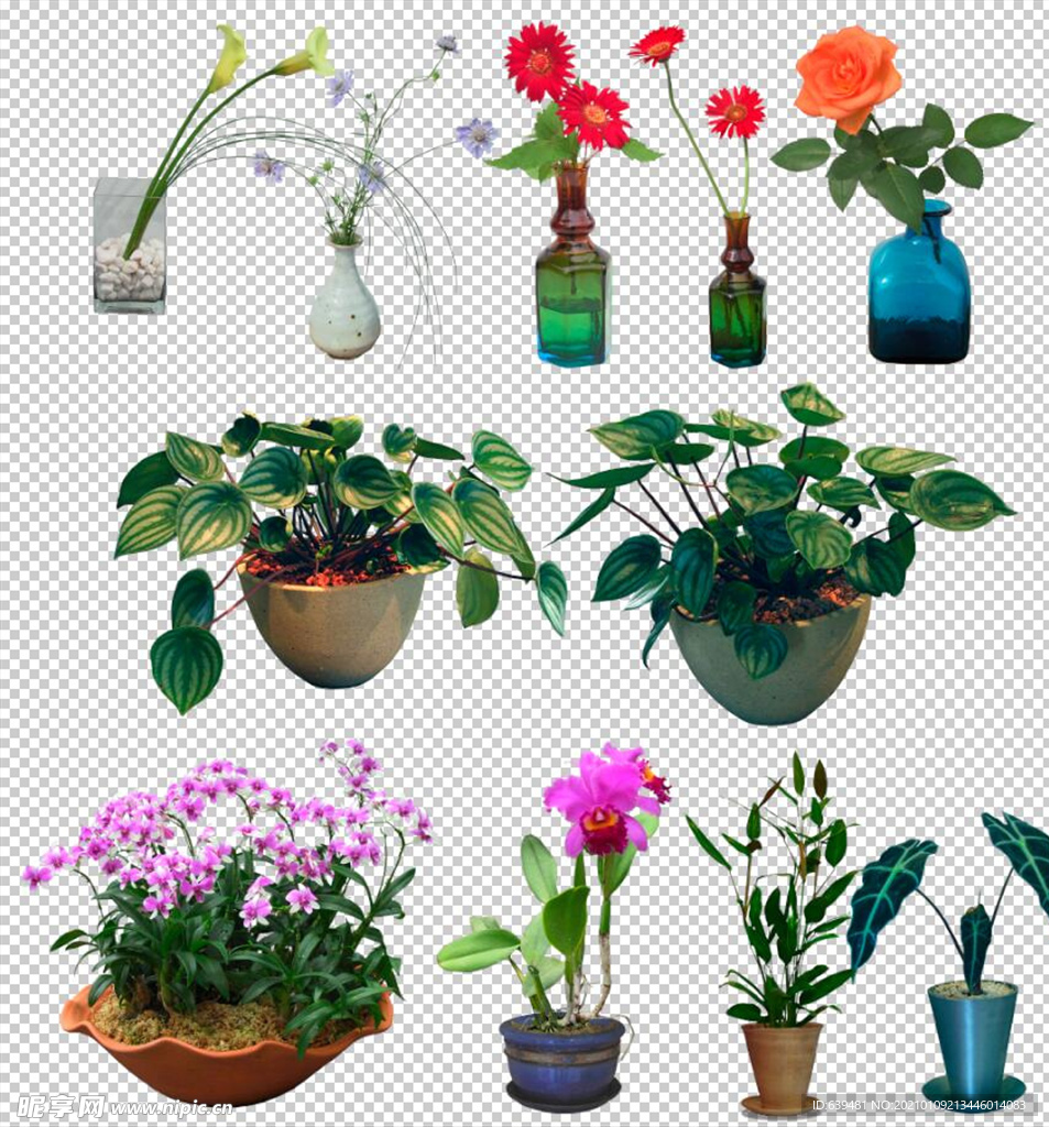 鲜花盆景盆栽绿植花瓶插花