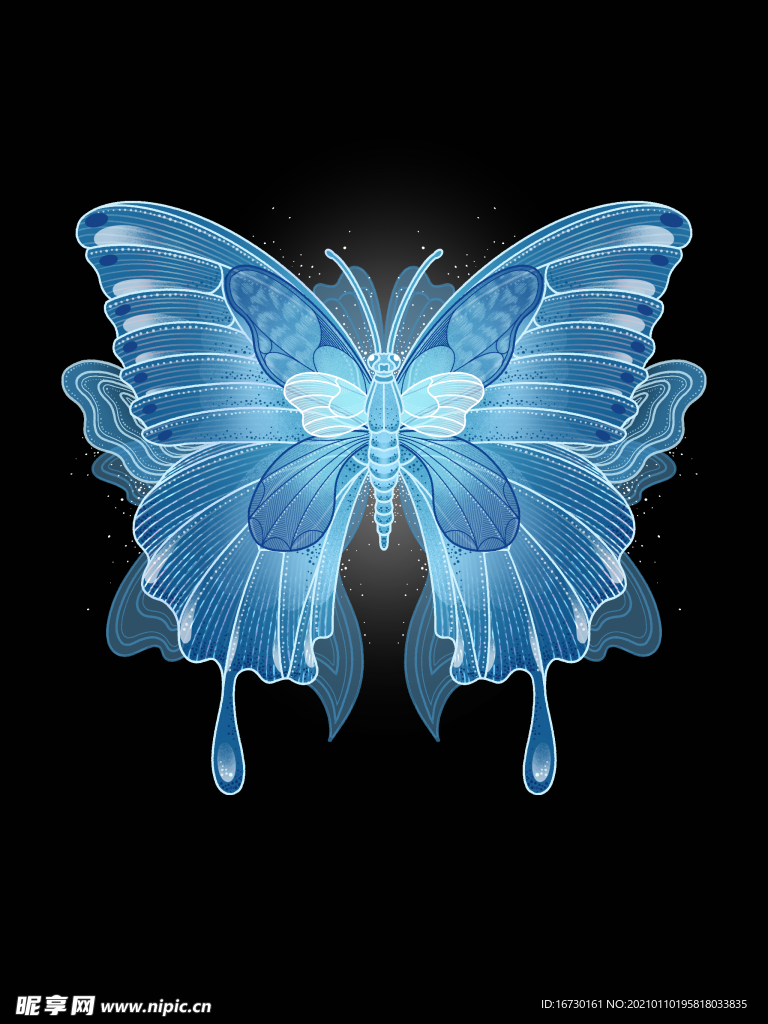 蓝色蝴蝶插画