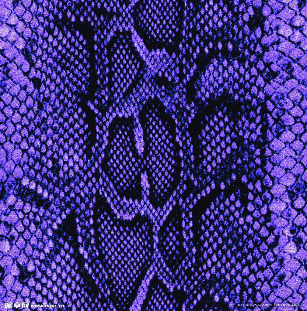 蛇纹  大牌  男装  女装