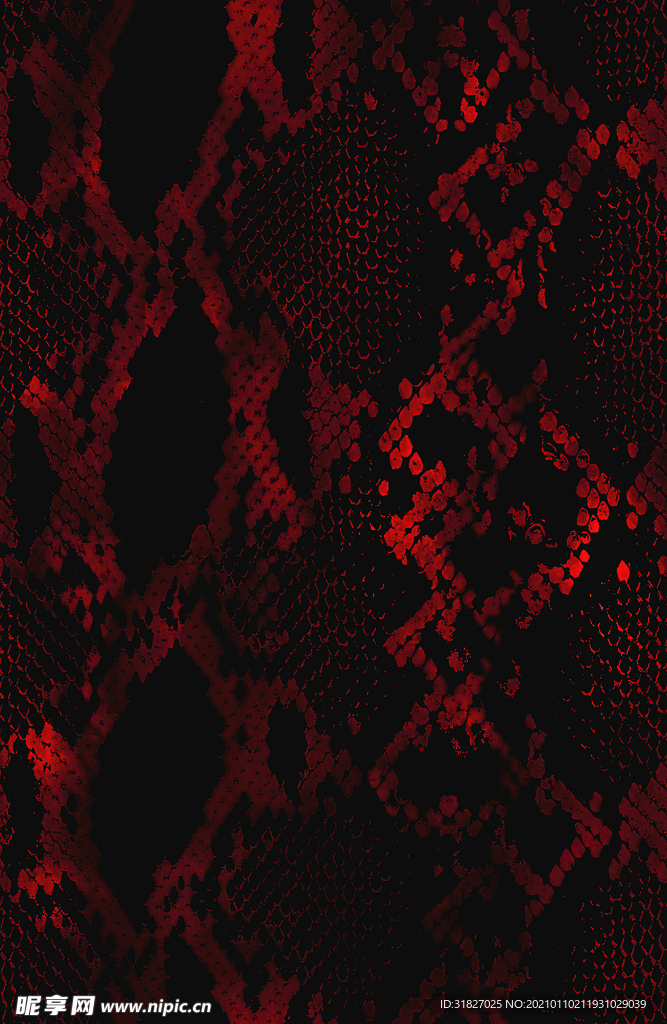 蛇纹  大牌  男装  女装