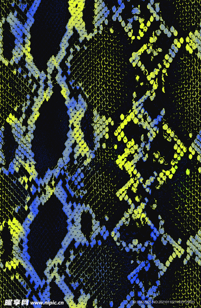 蛇纹  大牌  男装  女装