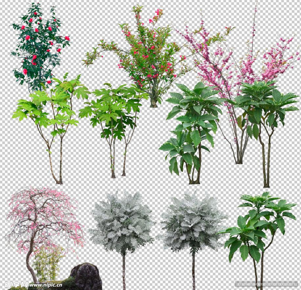 鲜花花卉绿植红花绿叶