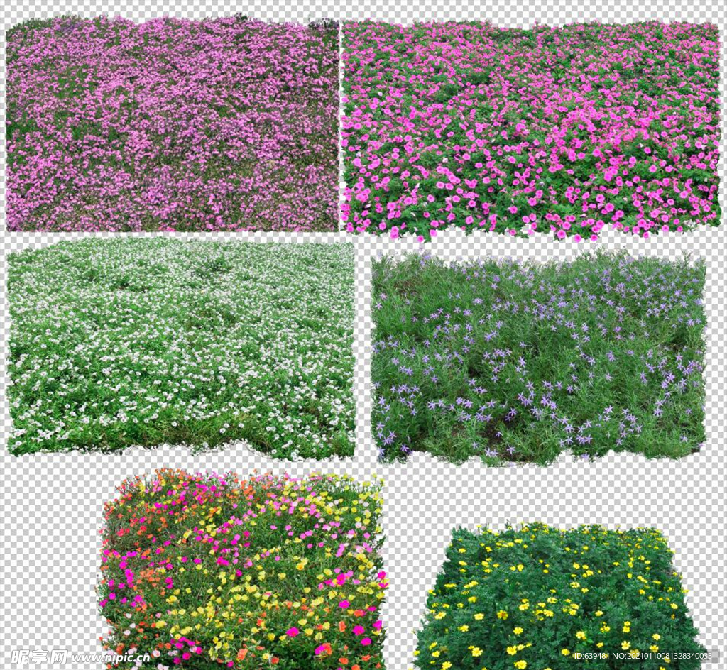 鲜花花卉绿植红花绿叶