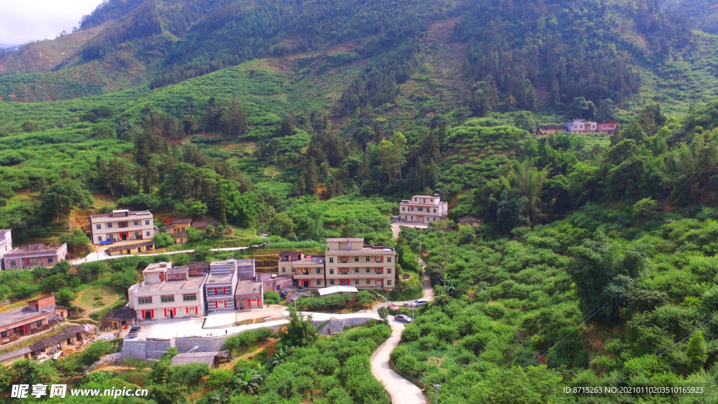 三华李之乡 新农村 山村 山里