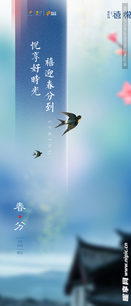 春分海报 节气 燕子春天