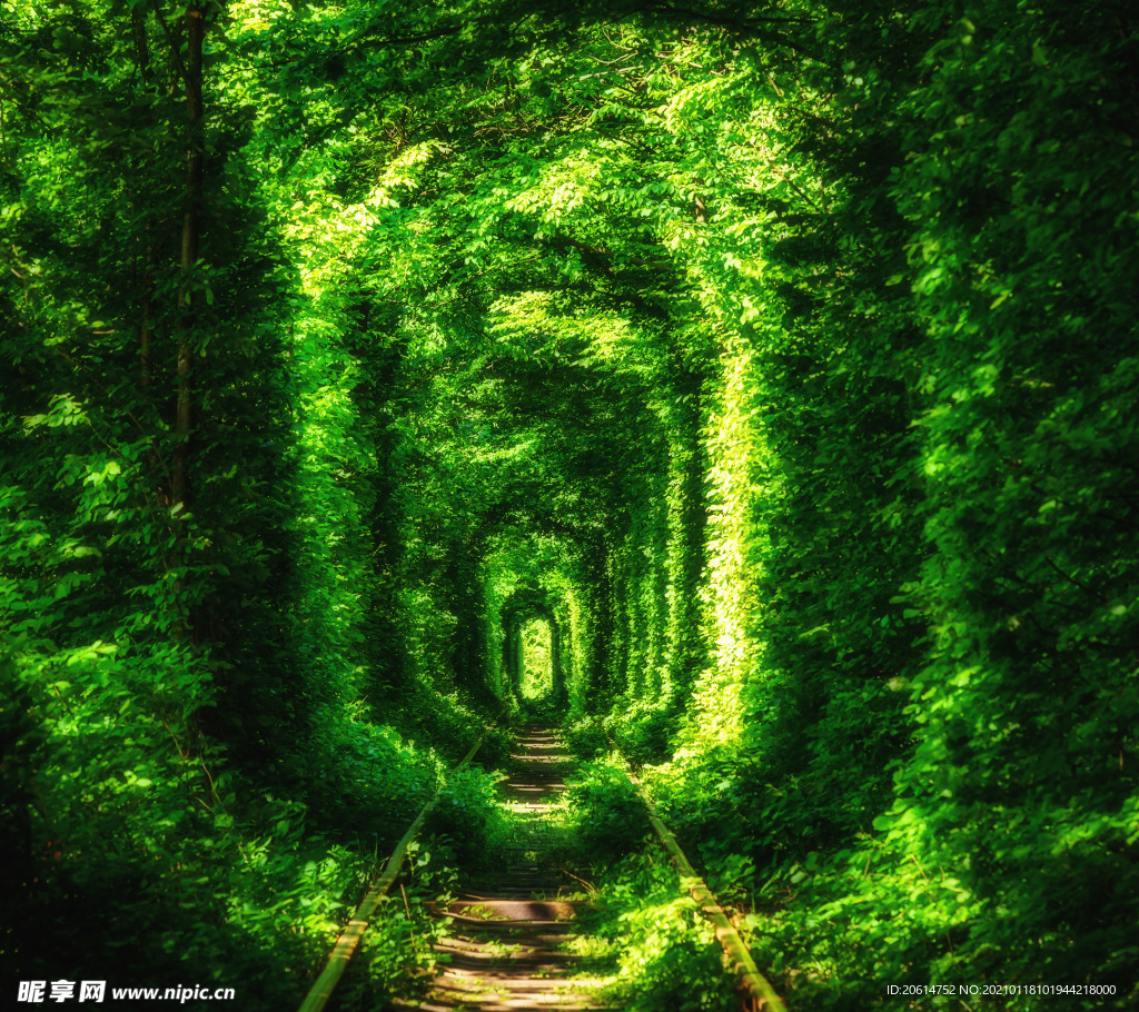 绿色如茵的公园美景