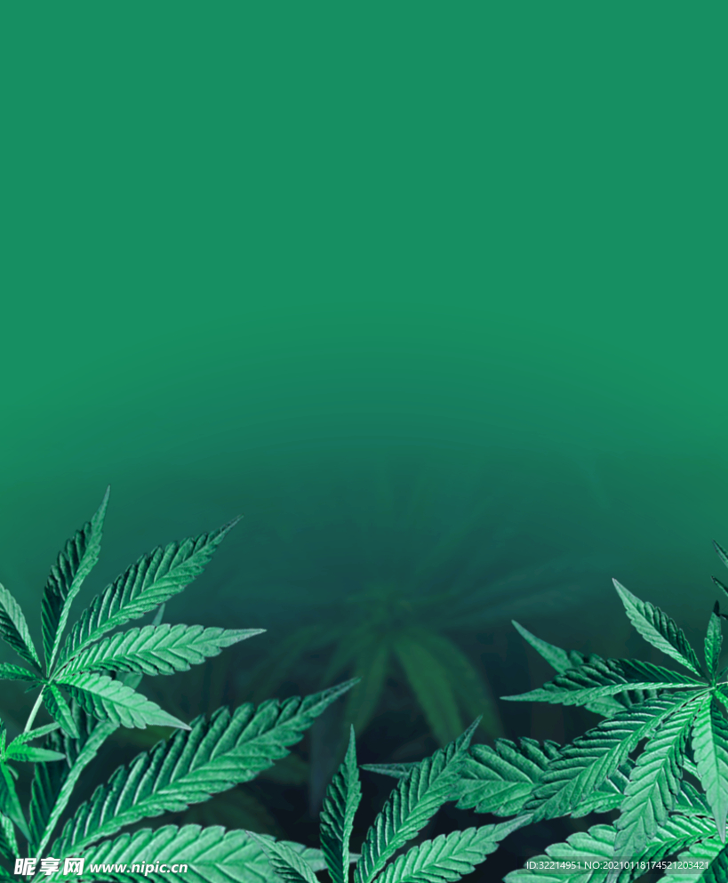 绿色背景