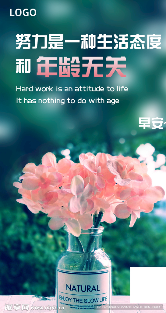 早安海报 花束海报