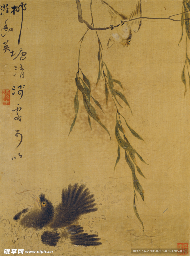 恽寿平国画 小鸟柳叶