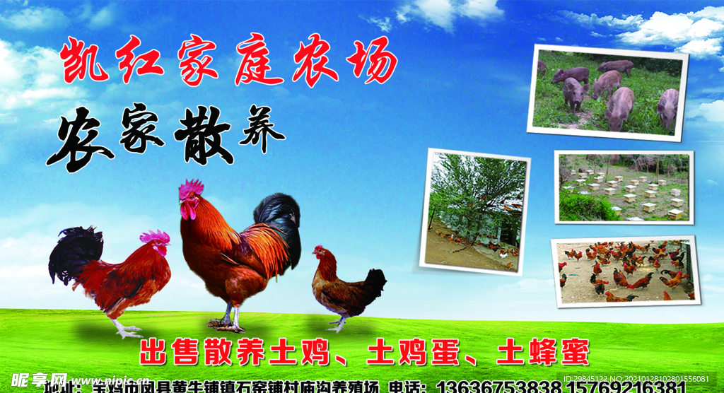 农家散养