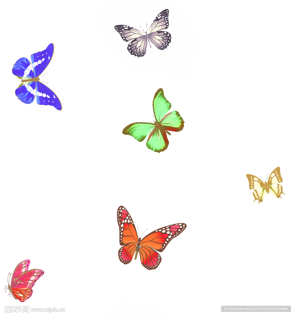 名族风  数码印花 女装印花