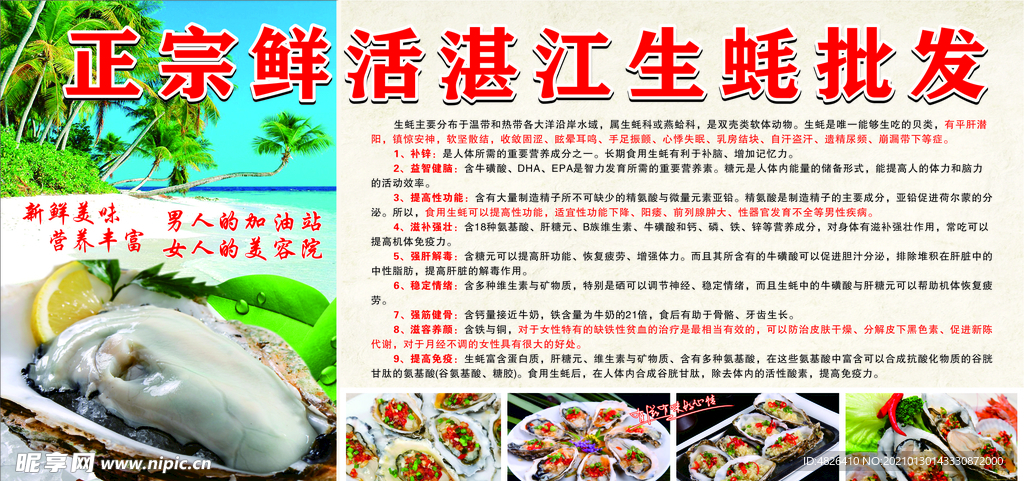 正宗鲜活湛江生蚝批发