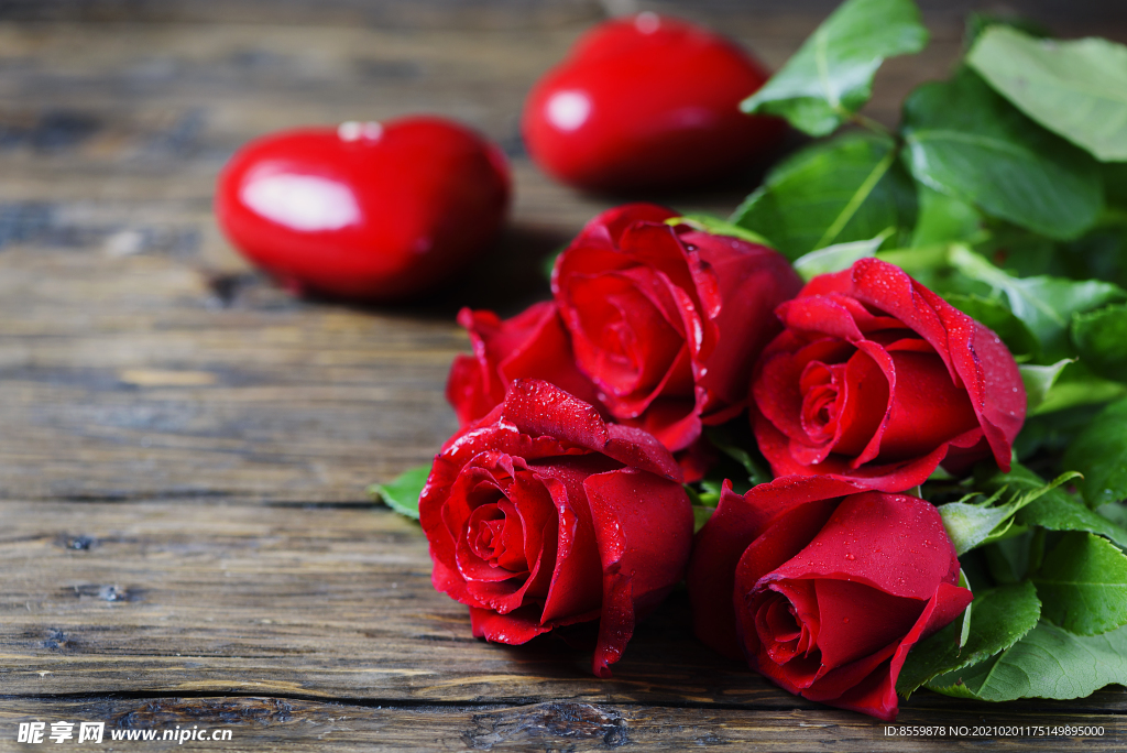 情人节浪漫图片