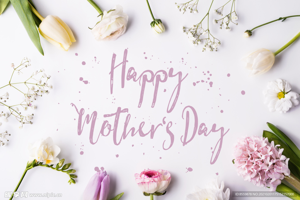 情人节浪漫图片