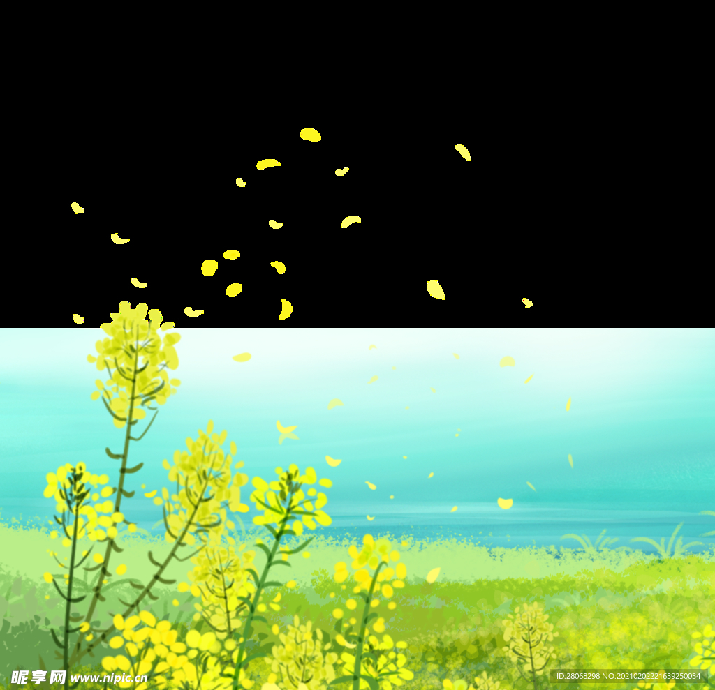 手绘插画植物油菜花元素