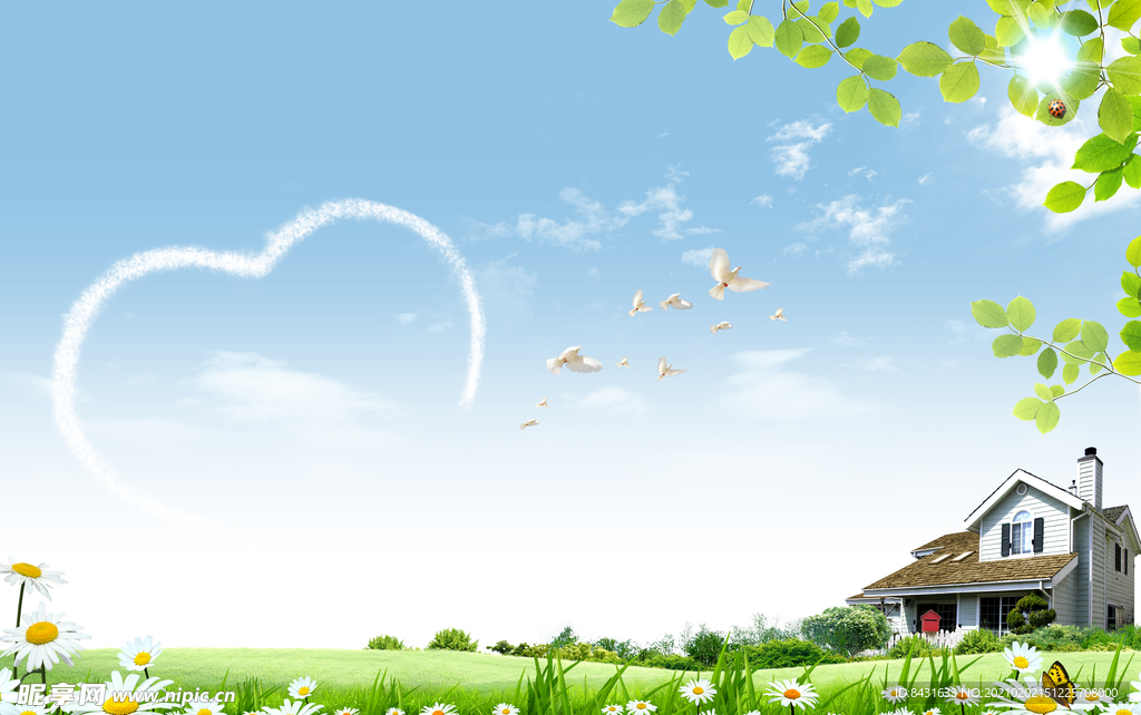 蓝天 白云 草地