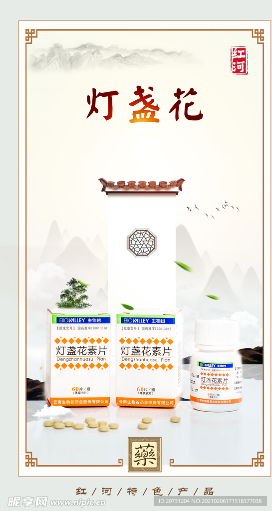 中医中药 中医背景 灯盏花