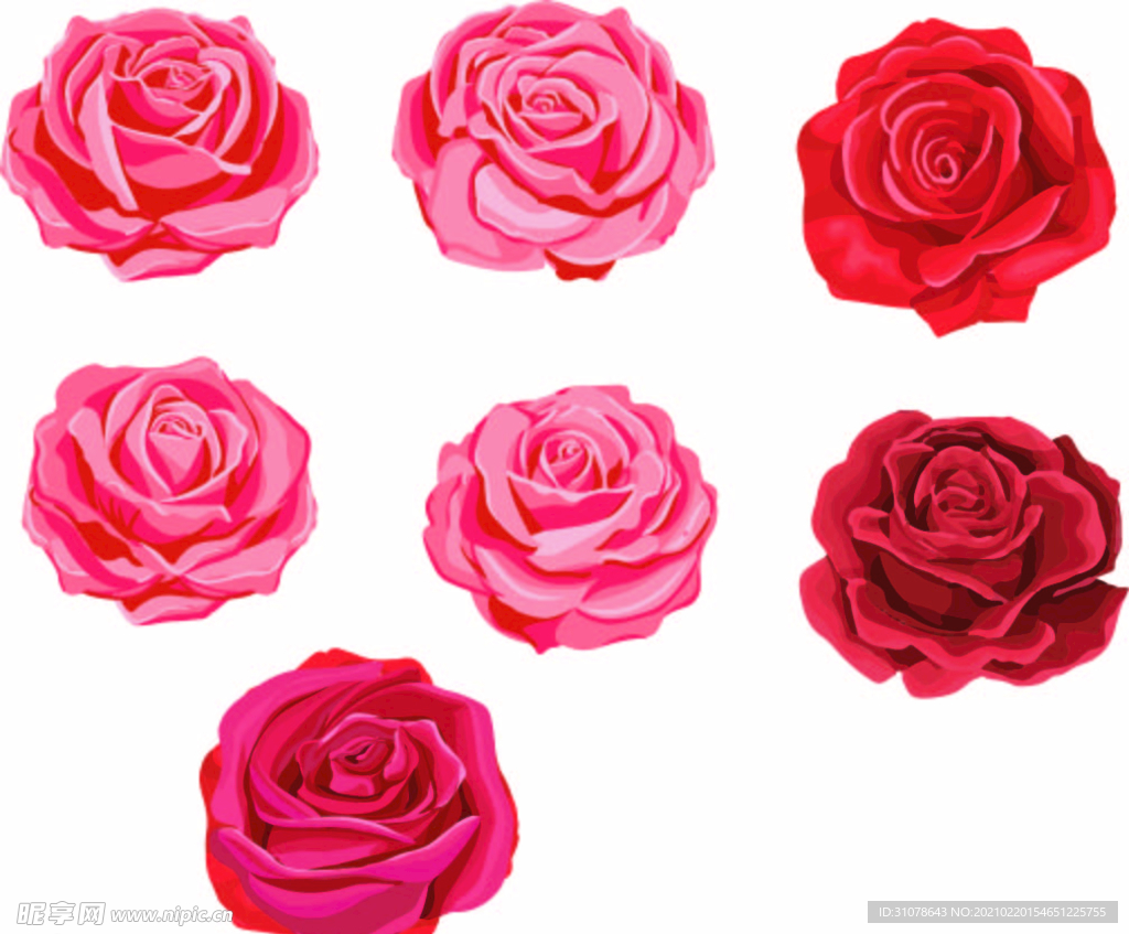 粉色玫瑰 红色玫瑰