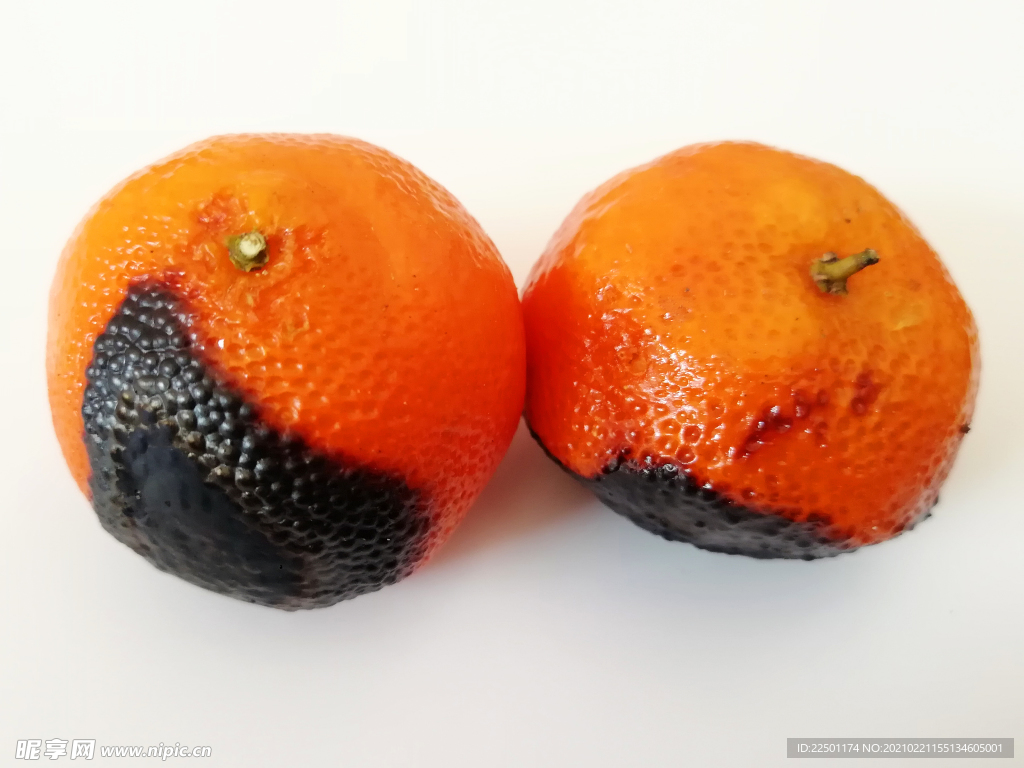 一对烤橘子