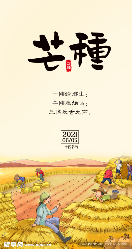 芒种 24节气 手绘 海报