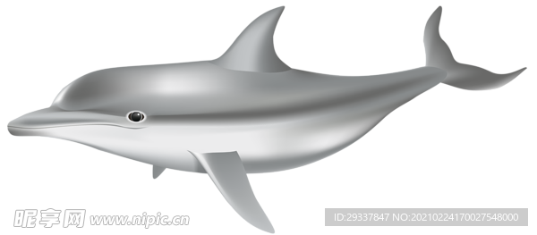 鲸鱼 鲸 鲸鱼背景 鲸鱼海报