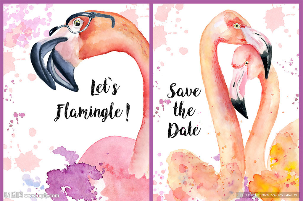 手绘水彩火烈鸟