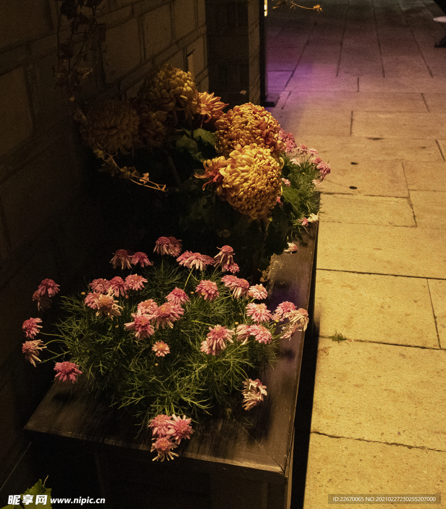 临海紫阳街一角