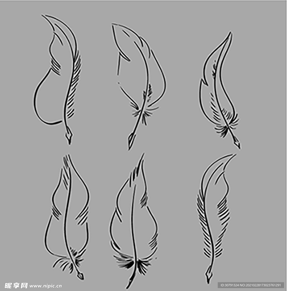 羽毛矢量图AI源文件