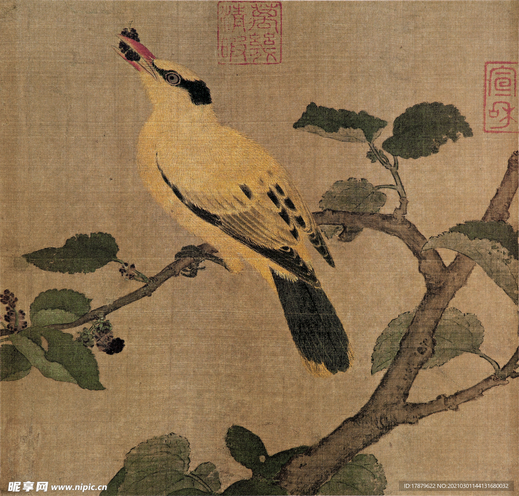 宋代国画 佚名 桑果山鸟图