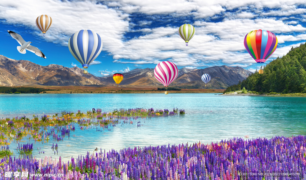 蓝天白云熏衣草热气球